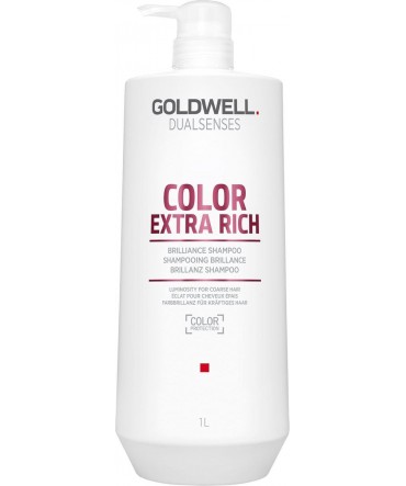 Шампунь DSN Color Extra Rich для збереження кольору товстого та пористого волосся 1 л