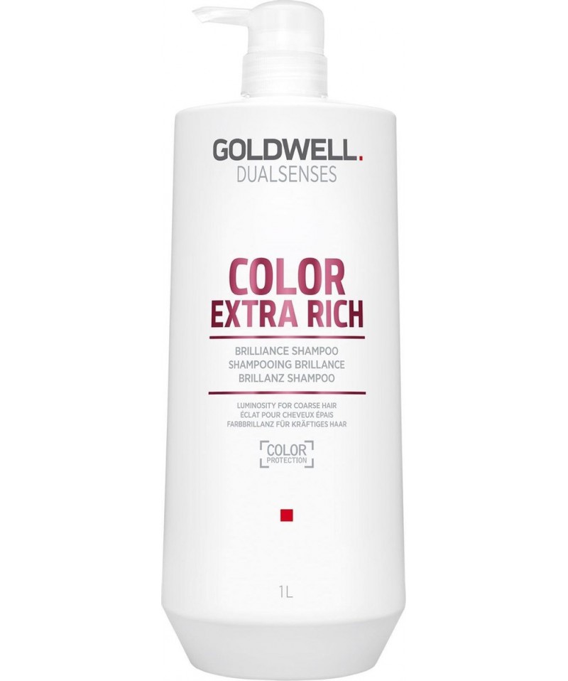 Шампунь DSN Color Extra Rich для збереження кольору товстого та пористого волосся 1 л