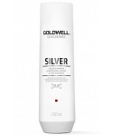 Шампунь DSN Silver для освітленого та сивого волосся 250 мл