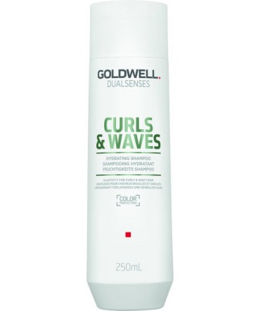 Шампунь DSN Curls & Waves зволожуючий для кучерявого волосся 250 мл